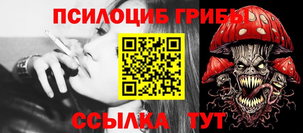 Псилоцибиновые грибы прущие грибы  Вход с VPN  Истра  Галлюциногенные грибы прущие грибы 